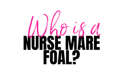 WHO – NOT WHAT –  IS A NURSE MARE FOAL?