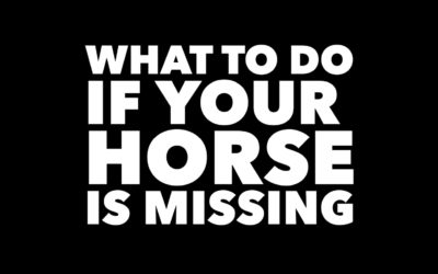 WHAT TO DO IF YOUR HORSE IS MISSING