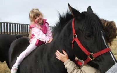2 Pet horses stolen and slaughtered for human consumption