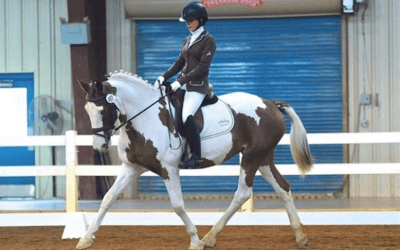 Kill Pen to Dressage Horse