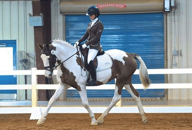 Kill Pen to Dressage Horse