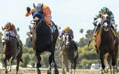 Santa Anita Horse Racing Track 23rd Horse Dead in 3 Months