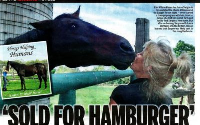 Stolen Horse Sold for Hamburger