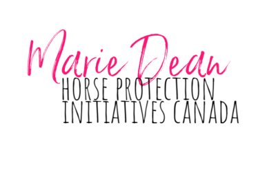 Donate your vehicle to benefit horses