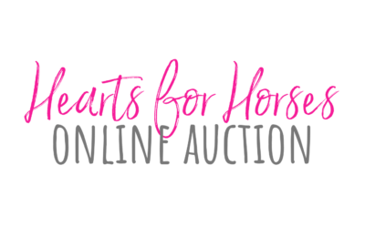 Online Auction Supports CHDC