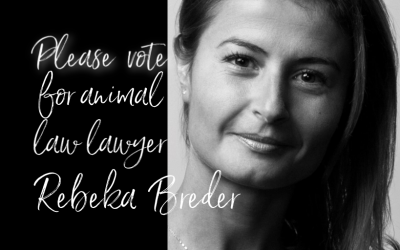 Please Vote for Animal Law Lawyer Rebeka Breder