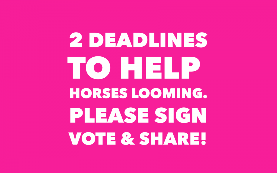 Deadline to Help Horses Looming