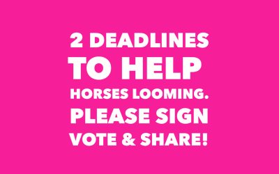 Deadline to Help Horses Looming