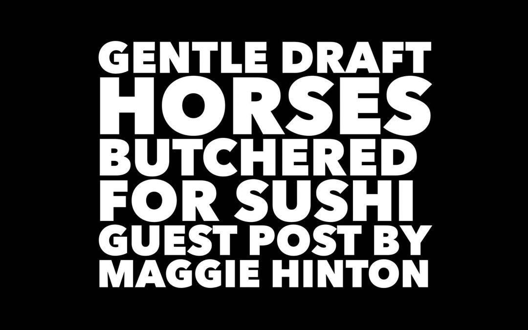 Draft Horses Butchered for Sushi