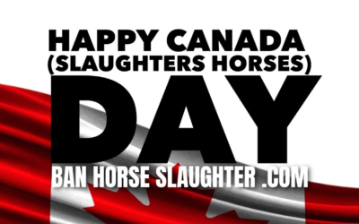 HAPPY CANADA SLAUGHTERS HORSES DAY