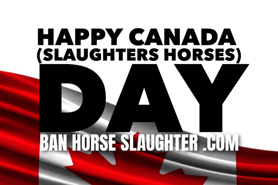 HAPPY CANADA SLAUGHTERS HORSES DAY