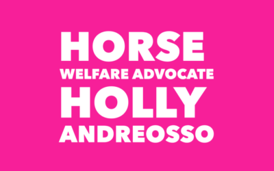 Horse Welfare Advocate Holly Andreosso