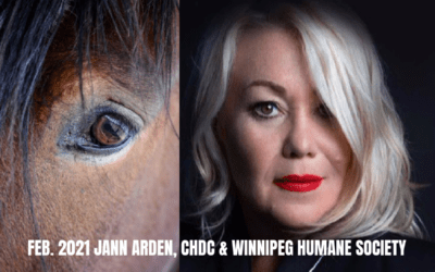 Winnipeg Humane Society Hosts Jann Arden (video)