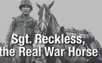 War Horse Reckless