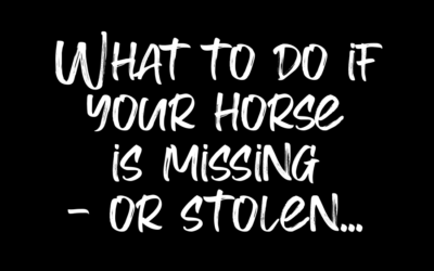 WHAT TO DO IF YOUR HORSE IS MISSING