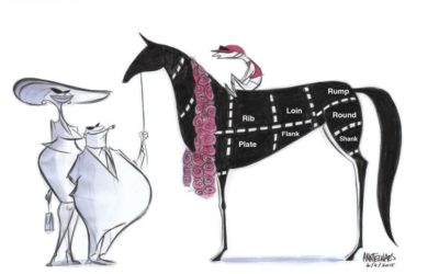 ANNE TELNAES:  THE HARSH REALITY OF HORSE RACING