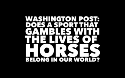 A SPORT THAT GAMBLES WITH HORSES’ LIVES