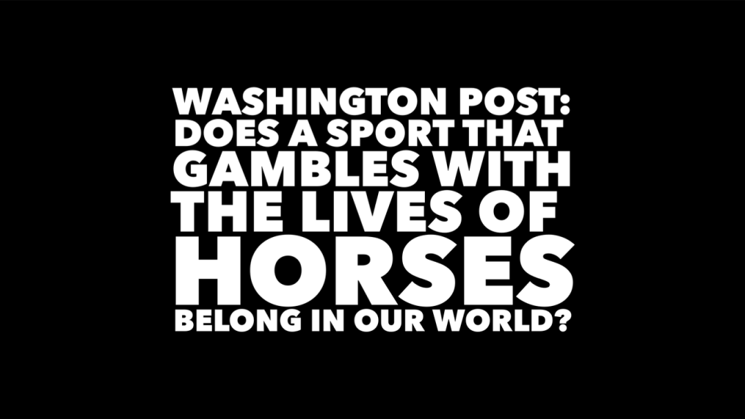 A SPORT THAT GAMBLES WITH HORSES’ LIVES