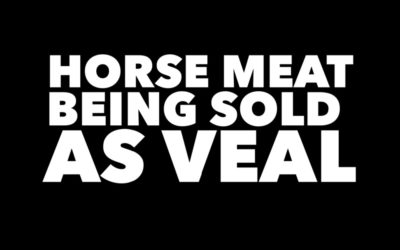 HORSE MEAT SOLD AS VEAL