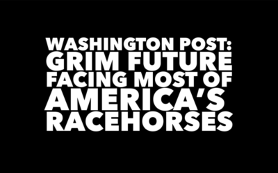 GRIM FUTURE FACING MOST OF AMERICA’S RACEHORSES