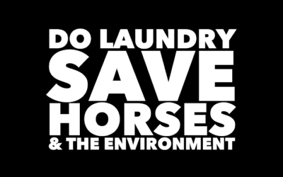 DO LAUNDRY SAVE HORSES