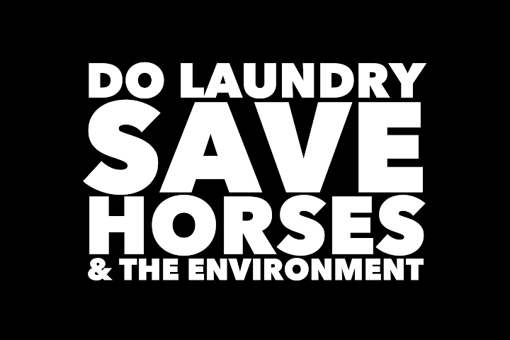 DO LAUNDRY SAVE HORSES