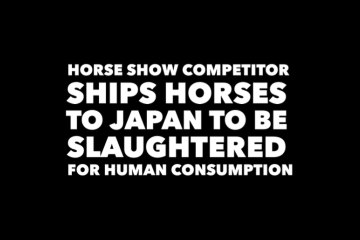 WHO SHIPS HORSES TO JAPAN FOR SLAUGHTER?