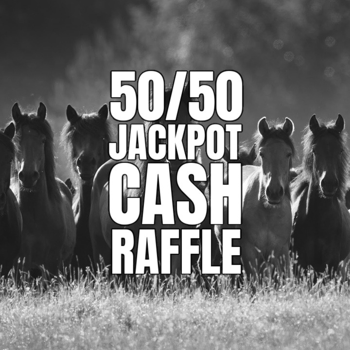 Maclean's Canada is GoTo of Horse Meat Ban Horse Slaughter