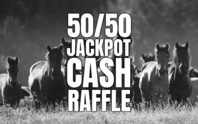 50 50 CASH RAFFLE IN AID OF HORSE RESCUE FUND