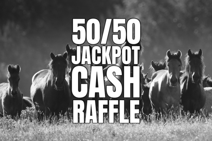 50 50 CASH RAFFLE IN AID OF HORSE RESCUE FUND