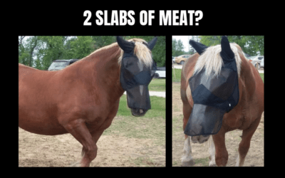 TWO SLABS OF MEAT?