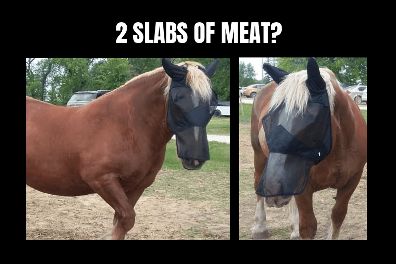 TWO SLABS OF MEAT?