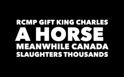 RCMP GIFT KING CHARLES A HORSE