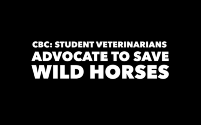 CBC (VIDEO) STUDENT VETERINARIANS JOIN TO SAVE WILD HORSES