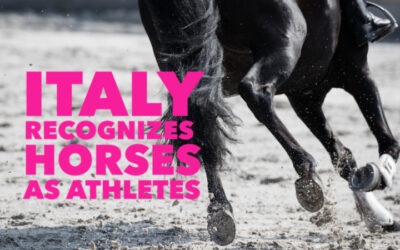 ITALY OFFICIALLY RECOGNIZES HORSES AS ATHLETES