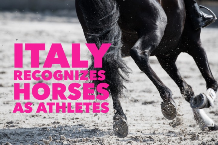 ITALY OFFICIALLY RECOGNIZES HORSES AS ATHLETES