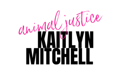 VIDEO: KAITLYN MITCHELL ANIMAL JUSTICE