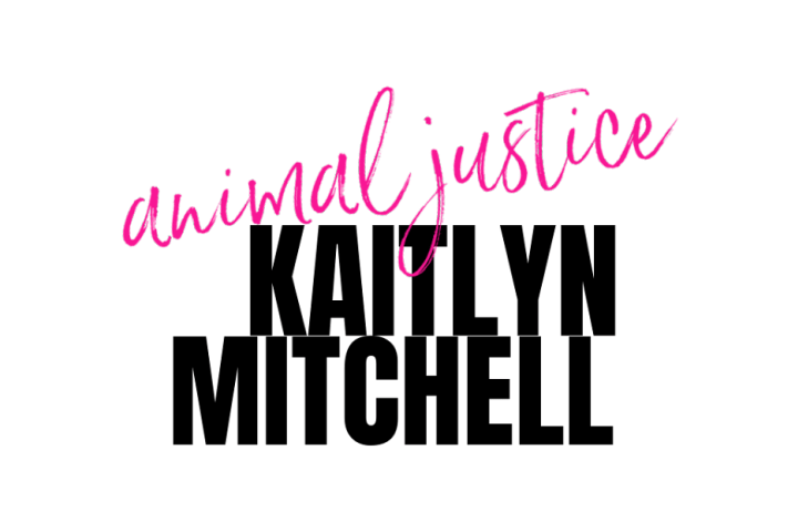 VIDEO: KAITLYN MITCHELL ANIMAL JUSTICE