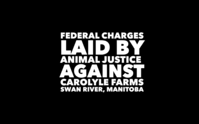 FEDERAL CHARGES LAID AGAINST CAROLYLE FARMS