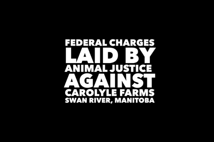 FEDERAL CHARGES LAID AGAINST CAROLYLE FARMS