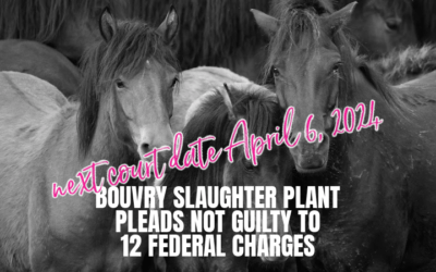 12 CHARGES LAID AGAINST BOUVRY