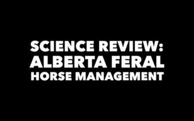 SCIENCE REVIEW OF 2023 ALBERTA FERAL HORSE MANAGEMENT FRAMEWORK