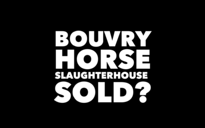BOUVRY HORSE SLAUGHTER SOLD