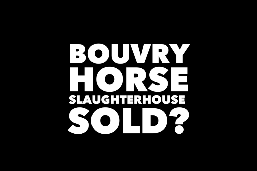 BOUVRY HORSE SLAUGHTER SOLD