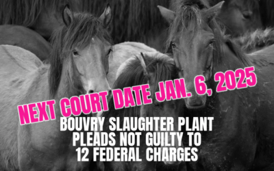 12 CHARGES LAID AGAINST BOUVRY