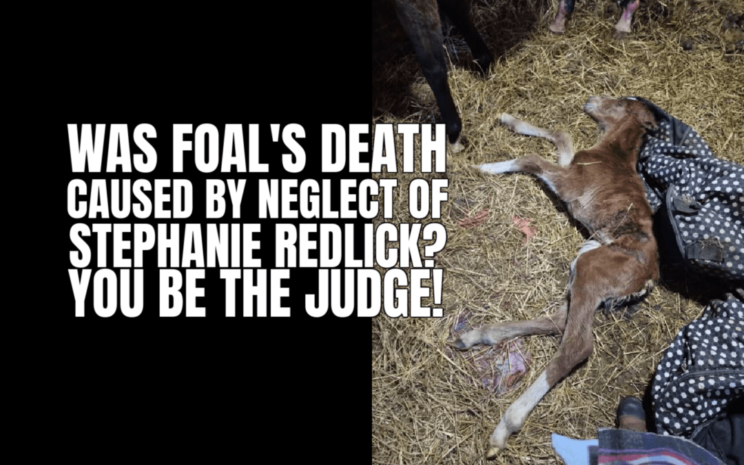 NEWBORN FOAL LEFT TO DIE