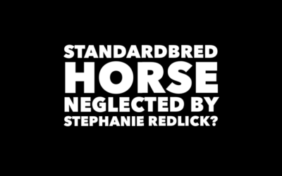 STANDARDBRED NEGLECTED BY STEPHANIE REDLICK