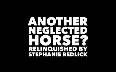 STEPHANIE REDLICK FRIESIAN PERCHERON HORSE