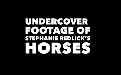 UNDERCOVER VIDEO OF STEPHANIE REDLICK’S HORSES