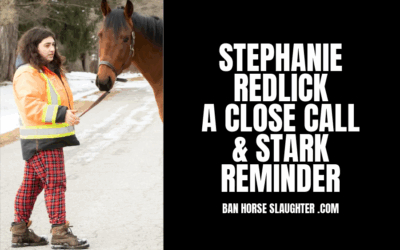 THE ONE WHERE REDLICK CLAIMS SHE IS A REGISTERED CHARITY